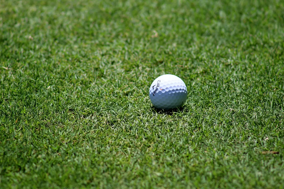 Golf Umbrellas vs. Standard Umbrellas: Coverage, Wind, and Weight Compared